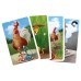 Rooster Chase kaartspel Pythagoras