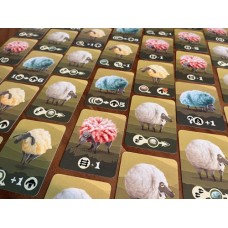Stubborn Sheep Stubborn Sheep