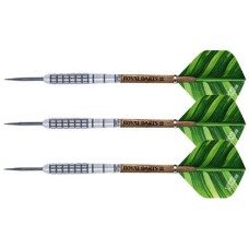 Darts Victory 25 gr. Green Line NT 80